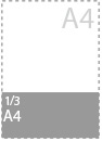 1/3 A4<br/><span style='font-size:11px;'>(9,8 * 21,0 cm)</span>